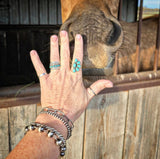 RTS - The Riata Ring