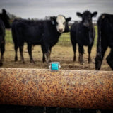 RTS - Sterling Silver Square Turquoise Adjustable Ring - Rope Edge